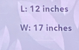 L: 12 inches
W: 17 inches