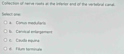 Collection of nerve roots at the inferior end of the vertebral canal.
Select one:
a. Conus medullaris
b. Cervical enlargement
c. Cauda equina
d. Filum terminale