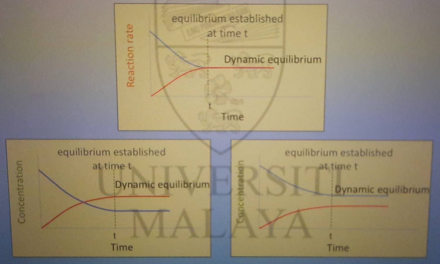 equilibrium established 
at time t
Dynamic equilibrium 
Time