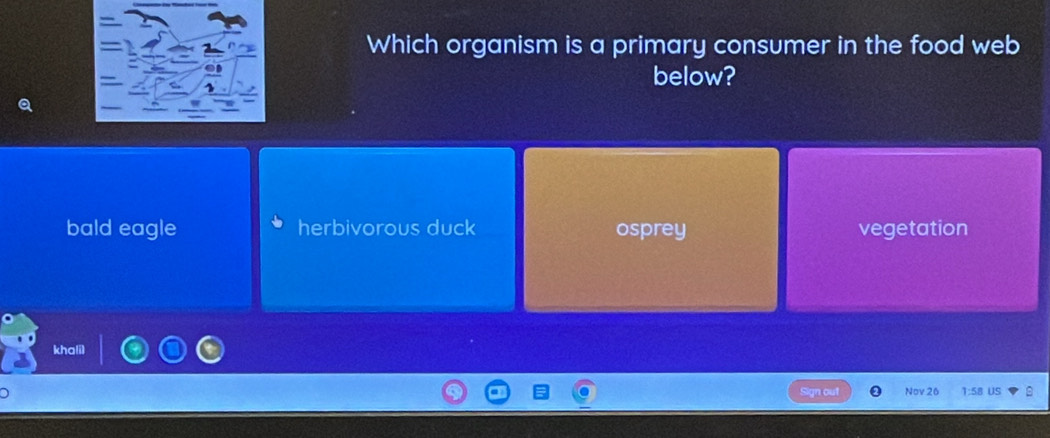 Which organism is a primary consumer in the food web
below?
bald eagle herbivorous duck osprey vegetation
khali)
n out Nov 26 1:58 US