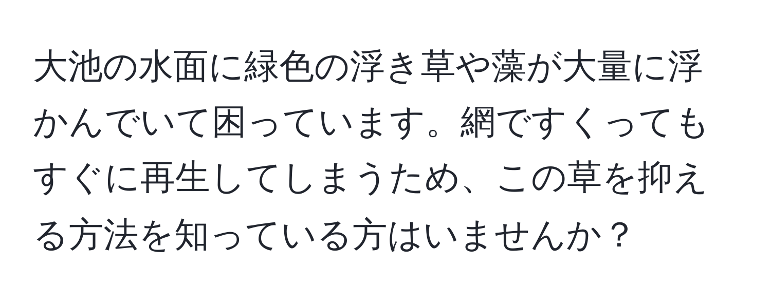 大池の水面に緑色の浮き草や藻が大量に浮かんでいて困っています。網ですくってもすぐに再生してしまうため、この草を抑える方法を知っている方はいませんか？