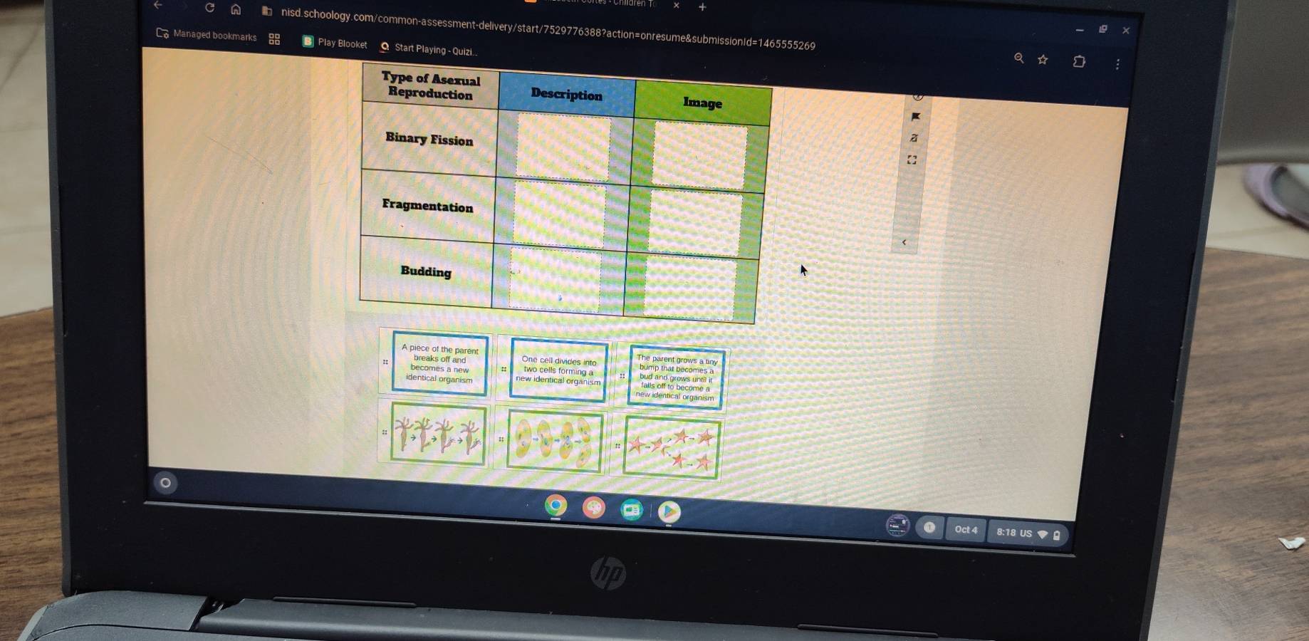 Ca Managed bookmarks 88 B Play Blooket O Start Playing - Quizi... 
a 
 
breaks off and One cell divides into 
The parent grows a tiny 
becomes a new bud and grows until it 
identical organism new identical organism 
Oct 8:18 US