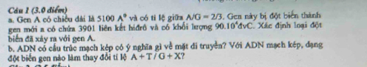 Gen A có chiều dài là 5100A° và có tỉ lệ giữa NG=2/3. Gen này bị đột biển thành 
gen mới a có chứa 3901 liên kết hiđrô và có khổi lượng 90.10^4dvC Xác định loại đột 
biển đã xảy ra với gen A. 
b. ADN có cầu trúc mạch kép có ý nghĩa gì về mặt di truyền? Với ADN mạch kép, dạng 
đột biến gen nào làm thay đổi tí lệ A+T/G+X ?