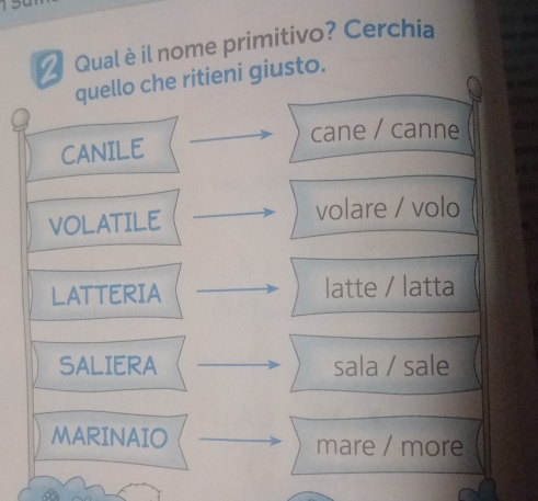 Qual è il nome primitivo? Cerchia
quello che ritieni giusto.
cane / canne
CANILE
VOLATILE volare / volo
LATTERIA latte / latta
SALIERA sala / sale
MARINAIO mare / more