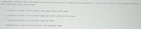 In pea plants, red flowers and round pollen are known to be recessie traits. In a dithytind cross expenment lots of plans with red flowers and round pollen are found n
the F2 generation. How is this possible?
The genes for flower color are linked to pea shape, but not pollien shape
The genes for flower color and pollen shape are tound on different chromosomes
The genes for fower color and pollen shape are linked
Muliple genes control the trarts for flower color and pollen shape