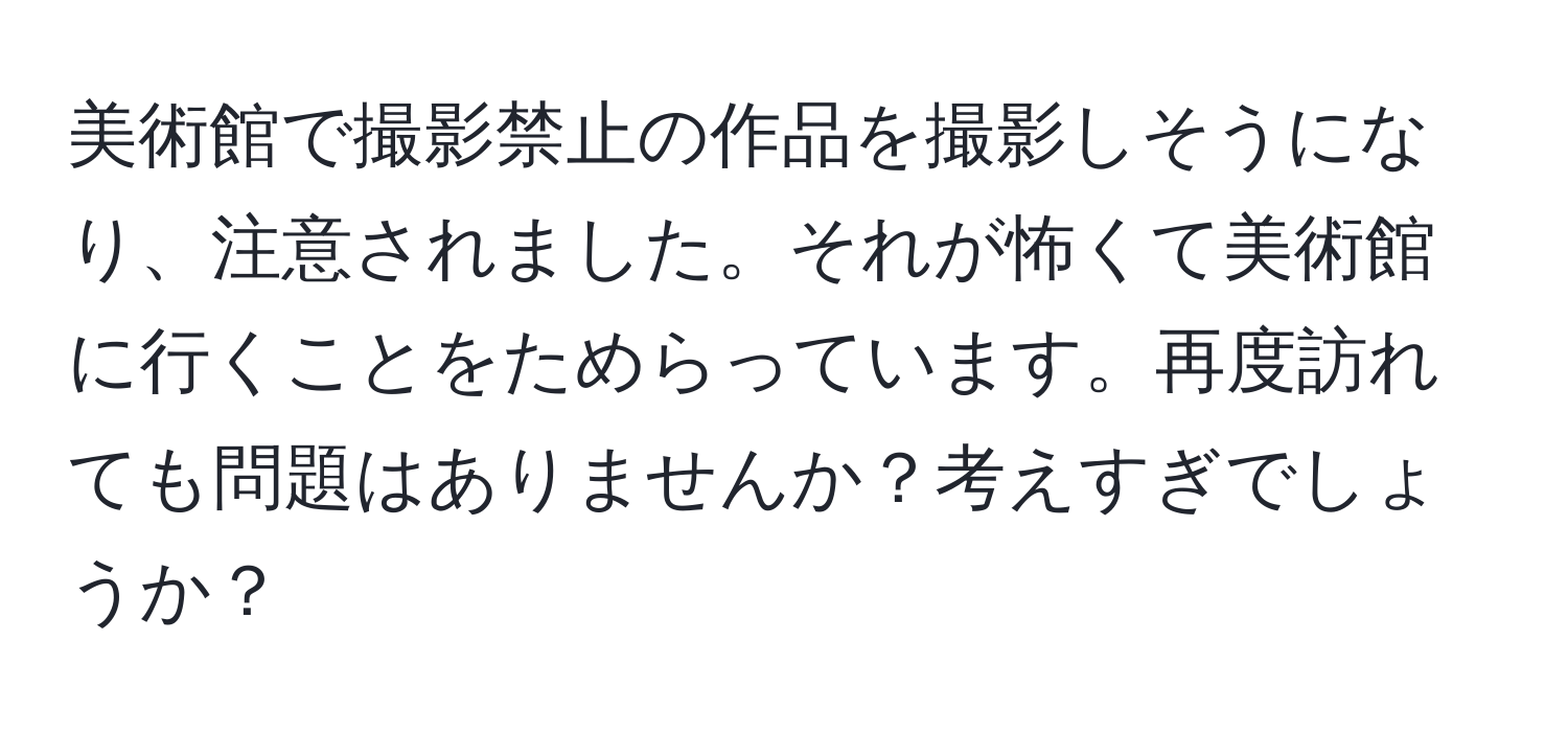 美術館で撮影禁止の作品を撮影しそうになり、注意されました。それが怖くて美術館に行くことをためらっています。再度訪れても問題はありませんか？考えすぎでしょうか？