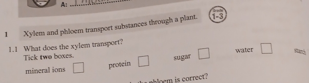 A:_ 
Grade 
1 Xylem and phloem transport substances through a plant. 
1-3 
1.1 What does the xylem transport? 
water starch 
Tick two boxes. 
mineral ions □ protein □ sugar □ □ 
nhloem is correct?