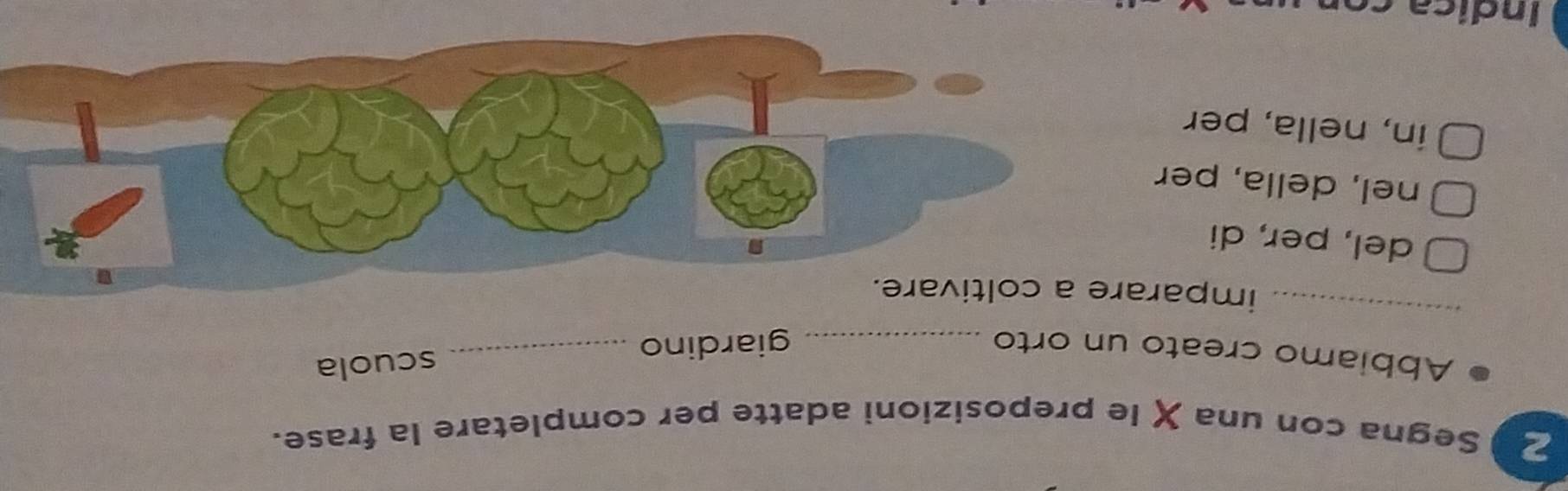 Segna con una χle preposizioni adatte per completare la frase.
Abbiamo creato un orto_
_
giardino _scuola
imparare a coltivare.
del, per, di
nel, della, per
in, nella, per
Indica