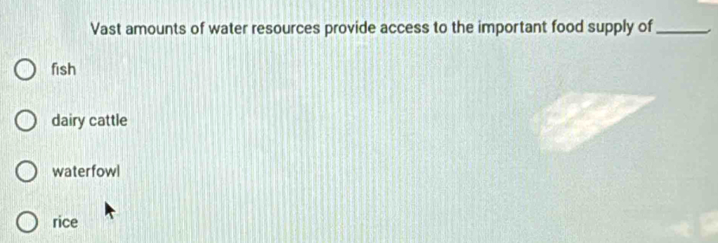 Vast amounts of water resources provide access to the important food supply of_
fish
dairy cattle
waterfowl
rice