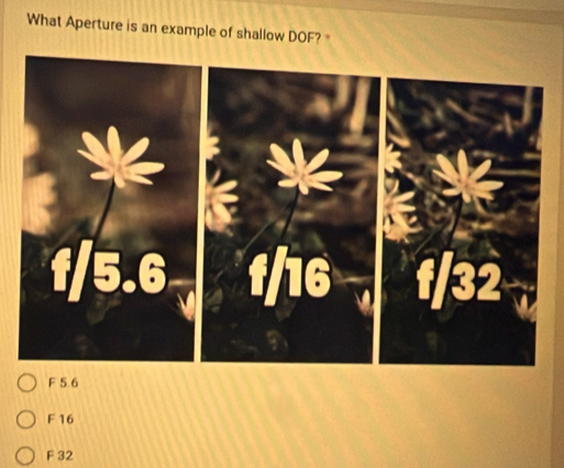 What Aperture is an example of shallow DOF?
F 5.6
F 16
F 32