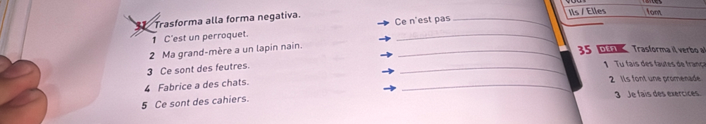 Trasforma alla forma negativa. _Ils / Elles font 
1 C'est un perroquet. Ce n'est pas 
2 Ma grand-mère a un lapin nain._
35 M Trasforma il verbo a 
3 Ce sont des feutres. 
_ 
1 i t d fra 
4 Fabrice a des chats. _2 Ils font une promenade 
5 Ce sont des cahiers. 
3 Je fais des exercices.