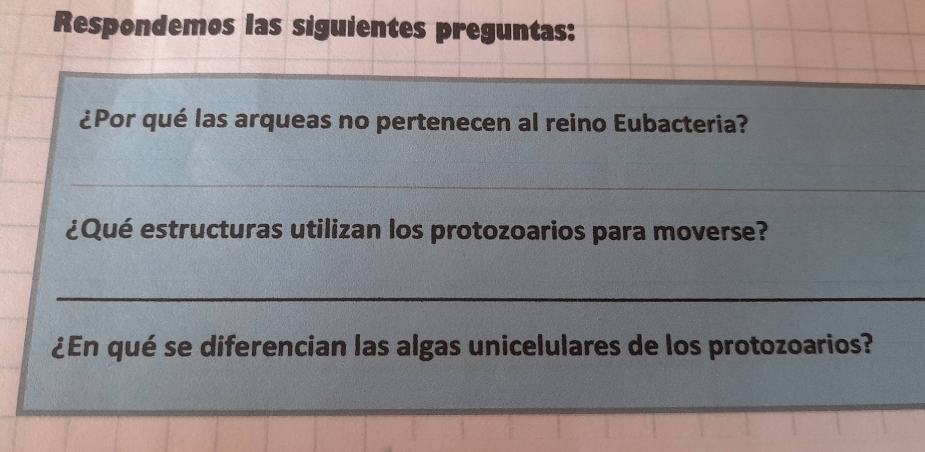 Resuelto:Respondemos las siguientes preguntas: ¿Por qué las arqueas no  pertenecen al reino Eubacte