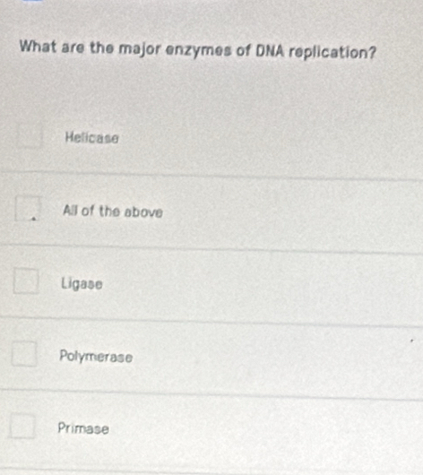 What are the major enzymes of DNA replication?
Helicase
All of the above
Ligase
Polymerase
Primase