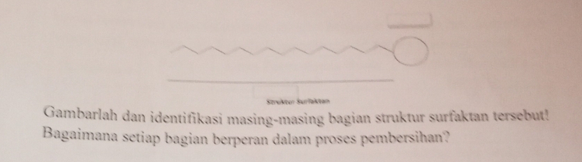 Strekter Surfaktan 
Gambarlah dan identifikasi masing-masing bagian struktur surfaktan tersebut! 
Bagaimana setiap bagian berperan dalam proses pembersihan?