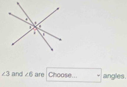 ∠ 3 and ∠ 6 are Choose... angles.