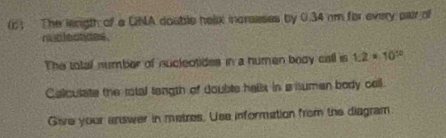 The lenigth of a CNA doable heax incrseses by 0.34 nm for every pair of 
nudlectdes. 
The total number of nucleotides in a numen body call is 1.2* 10^(10)
Calculate the rotal tength of double hellx in a numan body cell. 
Give your answer in metres. Use information from the diagram