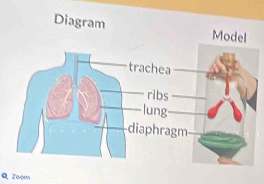 Diagram 
Q Zoom