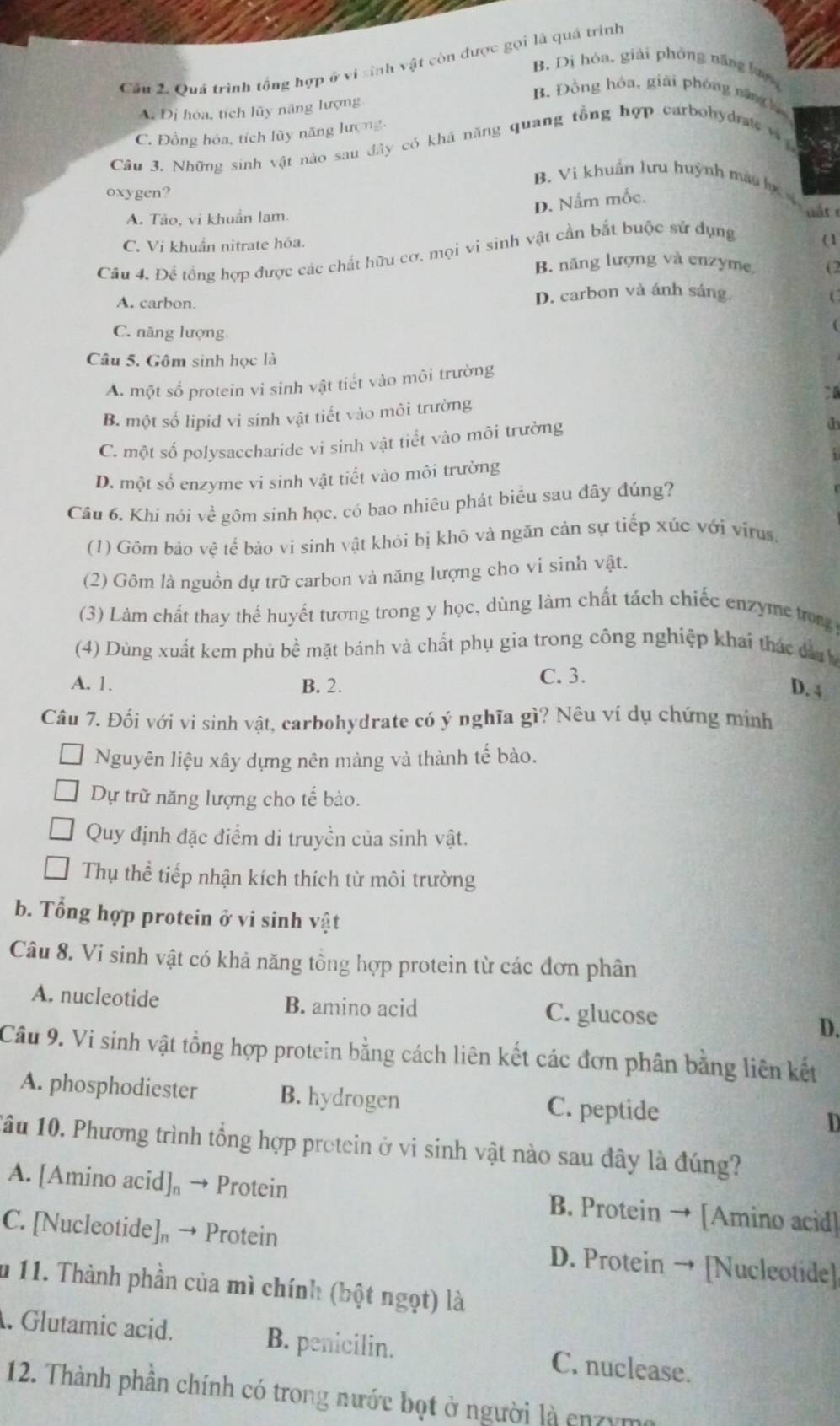 Cầu 2. Quá trình tổng hợp ở vi sinh vật còn được gọi là quá trình
B. Dị hóa, giải phòng năng lợn
A. Dị hóa, tích lũy năng lượng
B. Đồng hóa, giải phóng năng h
C. Đồng hóa, tích lũy năng lượng
Câu 3. Những sinh vật nào sau đây có khá năng quang tổng hợp carbohydrats v
B. Vi khuẩn lưu huỳnh màu bự vhật 
oxygen?
A. Tảo, vi khuẩn lam.
D. Nấm mốc.
C. Vi khuẩn nitrate hóa.
Câu 4. Để tổng hợp được các chất hữu cơ, mọi vi sinh vật cần bắt buộc sử dụng
(1
B. năng lượng và enzyme (2
A. carbon.
D. carbon và ánh sáng C
C. năng lượng
(
Câu 5. Gôm sinh học là
A. một số protein vi sinh vật tiết vảo môi trường
`
B. một số lipid vi sinh vật tiết vào môi trường
C. một số polysaccharide vi sinh vật tiết vào môi trường
d
D. một số enzyme vi sinh vật tiết vào môi trường
Câu 6. Khi nói về gôm sinh học, có bao nhiêu phát biểu sau đây đúng?
(1) Gồm bảo vệ tế bảo vi sinh vật khỏi bị khô và ngăn cản sự tiếp xúc với virus.
(2) Gôm là nguồn dự trữ carbon và năng lượng cho vi sinh vật.
(3) Làm chất thay thế huyết tương trong y học, dùng làm chất tách chiếc enzyme trong 
(4) Dùng xuất kem phủ bề mặt bánh và chất phụ gia trong công nghiệp khai thác đâu h
A. 1. B. 2. C. 3.
D. 4
Câu 7. Đối với vi sinh vật, carbohydrate có ý nghĩa gì? Nêu ví dụ chứng minh
Nguyên liệu xây dựng nên màng và thành tế bào.
Dự trữ năng lượng cho tế bào.
Quy định đặc điểm di truyền của sinh vật.
Thụ thể tiếp nhận kích thích từ môi trường
b. Tổng hợp protein ở vi sinh vật
Câu 8. Vi sinh vật có khả năng tồng hợp protein từ các đơn phân
A. nucleotide B. amino acid C. glucose
D.
Câu 9. Vi sinh vật tổng hợp protein bằng cách liên kết các đơn phân bằng liên kết
A. phosphodiester B. hydrogen C. peptide D
Tầu 10. Phương trình tổng hợp protein ở vi sinh vật nào sau đây là đúng?
A. [Amino acid] → Protein B. Protein → [Amino acid]
C. [Nucleotide] → Protein D. Protein → [Nucleotide]
u 11. Thành phần của mì chính (bột ngọt) là
. Glutamic acid. B. penicilin. C. nuclease.
12. Thành phân chính có trong nước bọt ở người là enzym