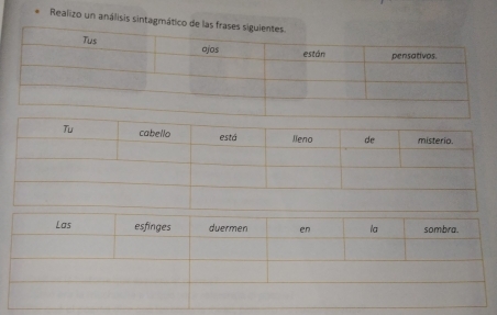 Realizo un análisis sintagmático de