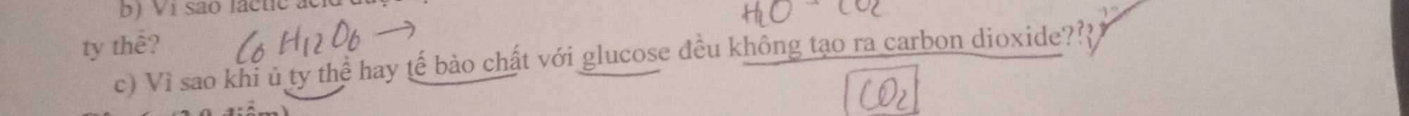 Vị são lacte de 
ty thể? 
c) Vì sao khi ủ ty thể hay tế bào chất với glucose đều không tạo ra carbon dioxide??