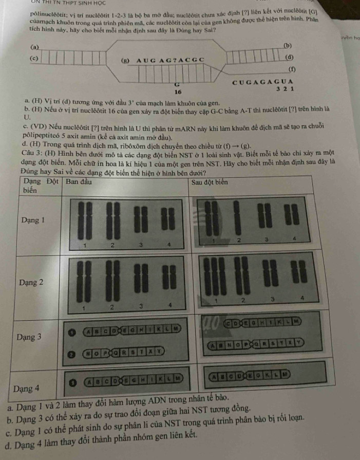 UN Thi tN thPt sinh học
pôlinucl@ôtit; vị trí nuclêôtit 1 -2 -3 là bộ ba mở đầu; nucleôtit chưa xác định [?] liên kết với nucleôtit [G]
củamạch khuôn trong quá trình phiên mã, các nuclêôtit còn lại của gen không được thể hiện trên hình. Phân
tích hình này, hãy cho biết mỗi nhận định sau đây là Đúng hay Sai? uyěn họ
a. (H) Vj trí (d) tương ứng với đầu 3° của mạch làm khuôn của gen.
b. (H) Nếu ở vị trí nuclêôtit 16 của gen xảy ra đột biển thay cặp G-C bằng A-T thì nuclêôtit [?] trên hình là
U.
c. (VD) Nếu nuclêôtit [?] trên hình là U thì phân tử mARN này khi làm khuôn để địch mã sẽ tạo ra chuỗi
pôlipeptitcó 5 axit amin (kể că axit amin mở đầu).
d. (H) Trong quá trình dịch mã, ribôxôm dịch chuyển theo chiều từ (f) → (g).
Câu 3: (H) Hình bên dưới mô tả các dạng đột biến NST ở 1 loài sinh vật. Biết mỗi tế bảo chỉ xảy ra một
dạng đột biến. Mỗi chữ in hoa là kí hiệu 1 của một gen trên NST. Hãy cho biết mỗi nhận định sau đây là
a. Dạ
b. Dạng 3 có thể xảy ra do sự trao đổi đoạn giữa hai NST tương đồng.
c. Dạng 1 có thể phát sinh do sự phân li của NST trong quá trình phân bào bị rối loạn.
d. Dạng 4 làm thay đổi thành phần nhóm gen liên kết.