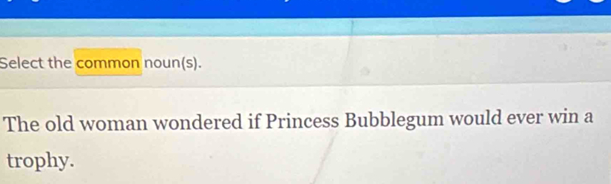 Select the common noun(s). 
The old woman wondered if Princess Bubblegum would ever win a 
trophy.