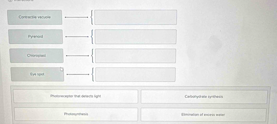 Contractile vacuole 
Pyrenoid 
Chioroplast 
Eye spot 
Photoreceptor that detects light Carbohydrate synthesis 
Photosynthesis Elimination of excess water