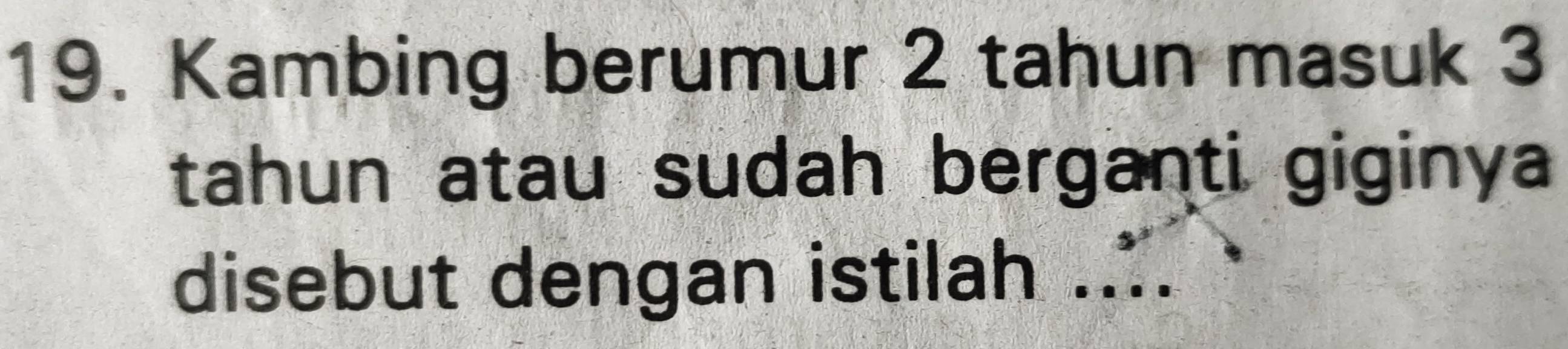 Kambing berumur 2 tahun masuk 3
tahun atau sudah berganti giginya 
disebut dengan istilah ....