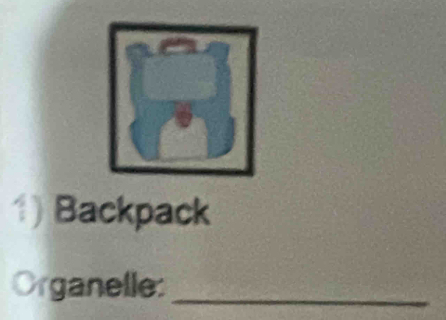 Backpack 
Organelle:_