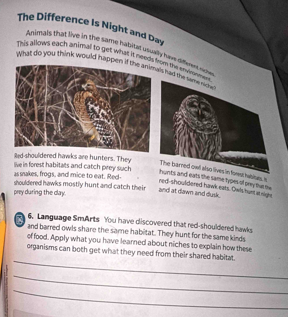 The Difference Is Night and Day 
Animals that live in the same habitat usually have different niches 
This allows each animal to get what it needs from the environm 
What do you think would happen ls had th 
Red-shouldered hawks are hunters. They The barred owl also lives in forest habitats. It 
as snakes, frogs, and mice to eat. Red- 
live in forest habitats and catch prey such ts the same types of prey that the 
red-shouldered hawk eats. Owls hunt at night 
shouldered hawks mostly hunt and catch their and at dawn and dusk. 
prey during the day. 
6. Language SmArts You have discovered that red-shouldered hawks 
and barred owls share the same habitat. They hunt for the same kinds 
of food. Apply what you have learned about niches to explain how these 
_ 
organisms can both get what they need from their shared habitat. 
_ 
_