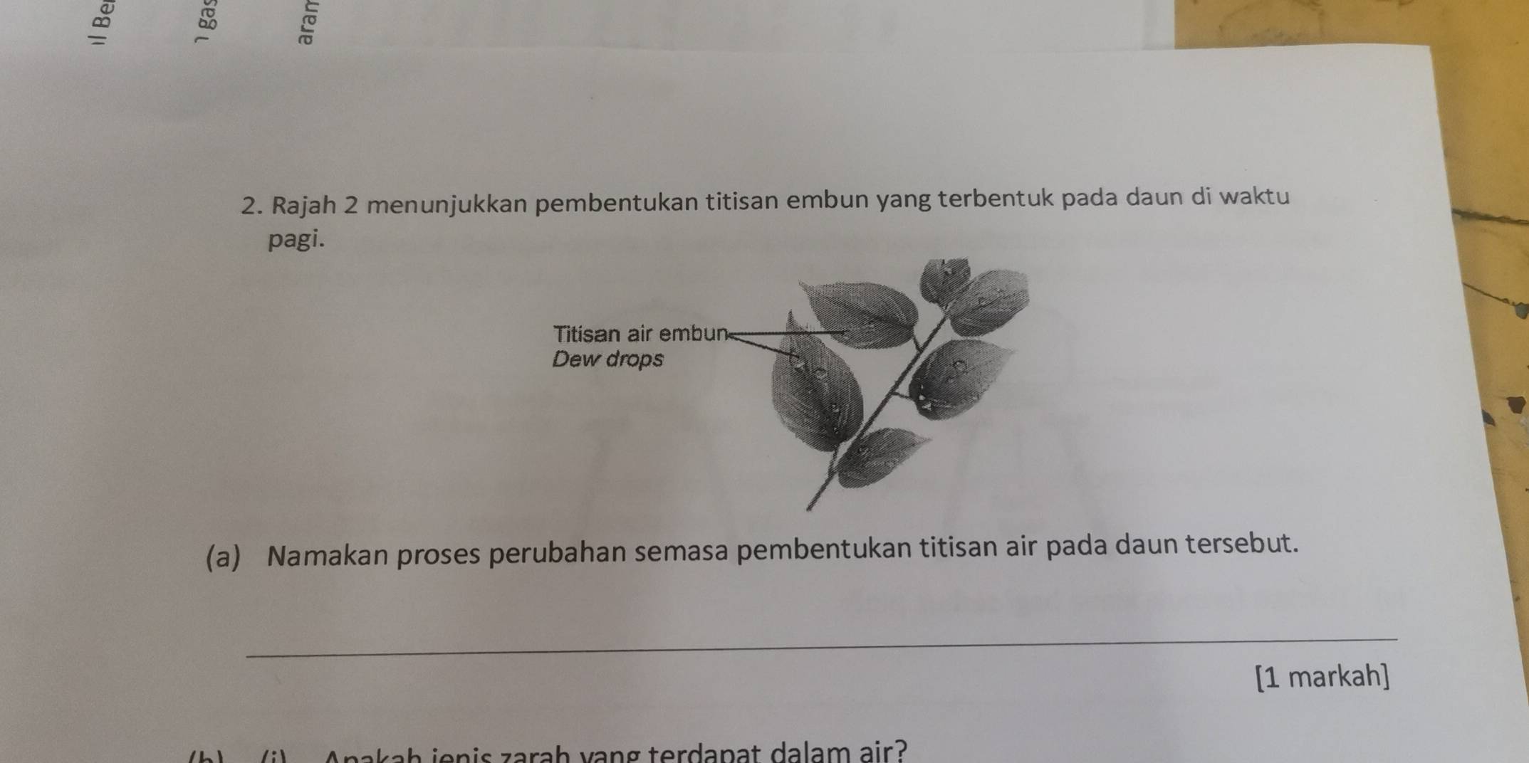 Rajah 2 menunjukkan pembentukan titisan embun yang terbentuk pada daun di waktu 
pagi. 
(a) Namakan proses perubahan semasa pembentukan titisan air pada daun tersebut. 
_ 
[1 markah] 
na a h i en is arah vang terdapat dalam air?