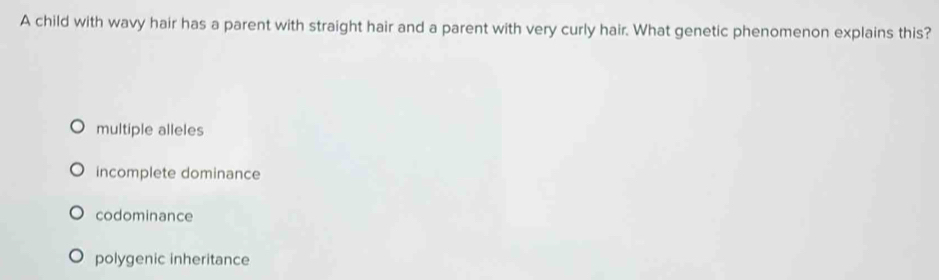 A child with wavy hair has a parent with straight hair and a parent with very curly hair. What genetic phenomenon explains this?
multiple alleles
incomplete dominance
codominance
polygenic inheritance