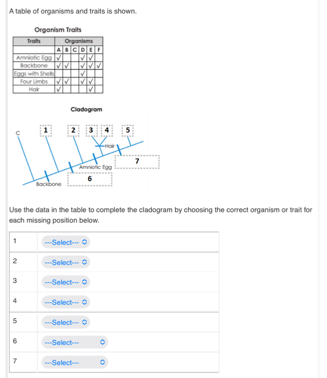 A table of organisms and traits is shown. 
Organism Traits 
Cladogram 
Use the data in the table to complete the cladogram by choosing the correct organism or trait for 
each missing position below.