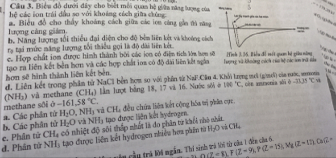 Biểu đồ dưới đây cho biết mỗi quan hệ giữa năng lượng của
1  hệ các ion trái đấu so với khoáng cách giữa chùng:    g )ta ở
a. Biểu đồ cho thấy khoảng cách giữa các ion cáng gần thì năn
lượng càng giám 
b. Năng lượng tối thiểu đại diện cho độ bên liên kết và khoảng các
rạ tại mức năng lượng tối thiếu gọi là độ dài liên kết
e. Hợp chất ion được hình thành bởi các ion có điện tích lớn hou  Hình 3.16. Biểu đồ mốt quan hệ giữu nững
( 2) tha /  Ngi là C âm
tạo ra liên kết bền hơn và các hợp chất ion có độ dài liên kết ngắn Tượng và khoảng cách của hệ các son trấi đầu
hơn sẽ hình thành liên kết bền.
d. Liên kết trong phân tử NaCl bền hơn so với phân tử NaF.Cầu 4. Khối lượng mol (g/mol) của nước, ammonia bd=
(NH_3) và  methane (CH_4) lần lượt bằng 18, 17 và 16. Nước sôi ở 100°C ,cèn ammonia sài è -33.35°C và.
methane sôi ở -161,58°C.
a. Các phân tử H_2O,NH_3 và CH_4 đều chứa liên kết cộng hóa trị phân cục,
b. Các phân tử H_2O và NH_3 tạo được liên kết hydrogen.
c. Phân tử CH_4 có nhiệt độ sối thấp nhất là do phân từ khối nhỏ nhất
d. Phân tử NH_3 4 tạo được liên kết hydrogen nhiều hơn phân từ H_2O và CH_4
O(Z<8),F(Z=9),P(Z=15) , Mg
cầu cầu trã lời ngắn. Thí sinh trà lời từ câu 1 đến câu 6. (Z=12),CaSZ=