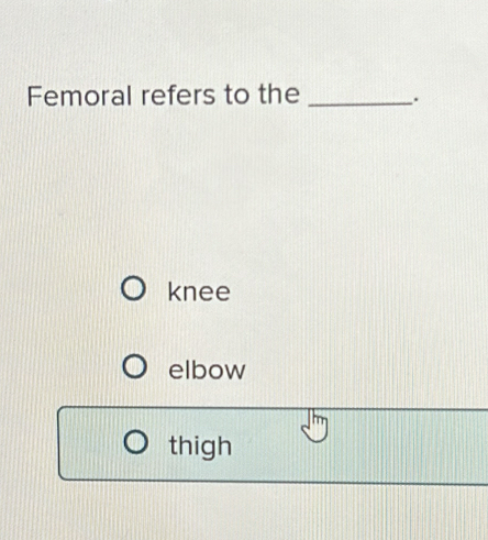 Femoral refers to the _.
knee
elbow
thigh