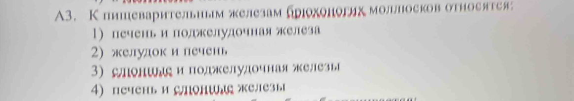 A3. К пишеварительиым железамбррохоногих моллпосков отноеятея 
1) печень и поджелудочная железа 
2) желудок и печень 
3) лоншдς и поджелудочная железь 
4) печень и слонидς железь