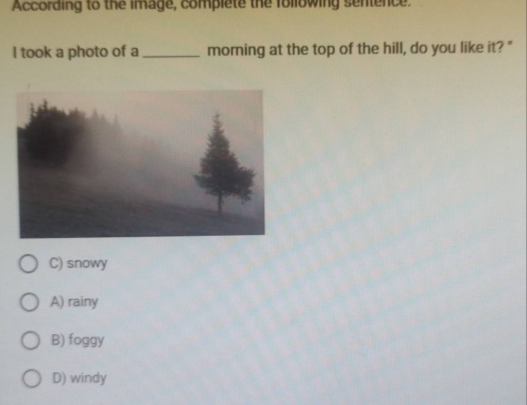 According to the image, complete the following sentence.
I took a photo of a_ morning at the top of the hill, do you like it?"
C) snowy
A) rainy
B) foggy
D) windy