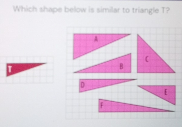 Which shape below is similar to triangle T?
E