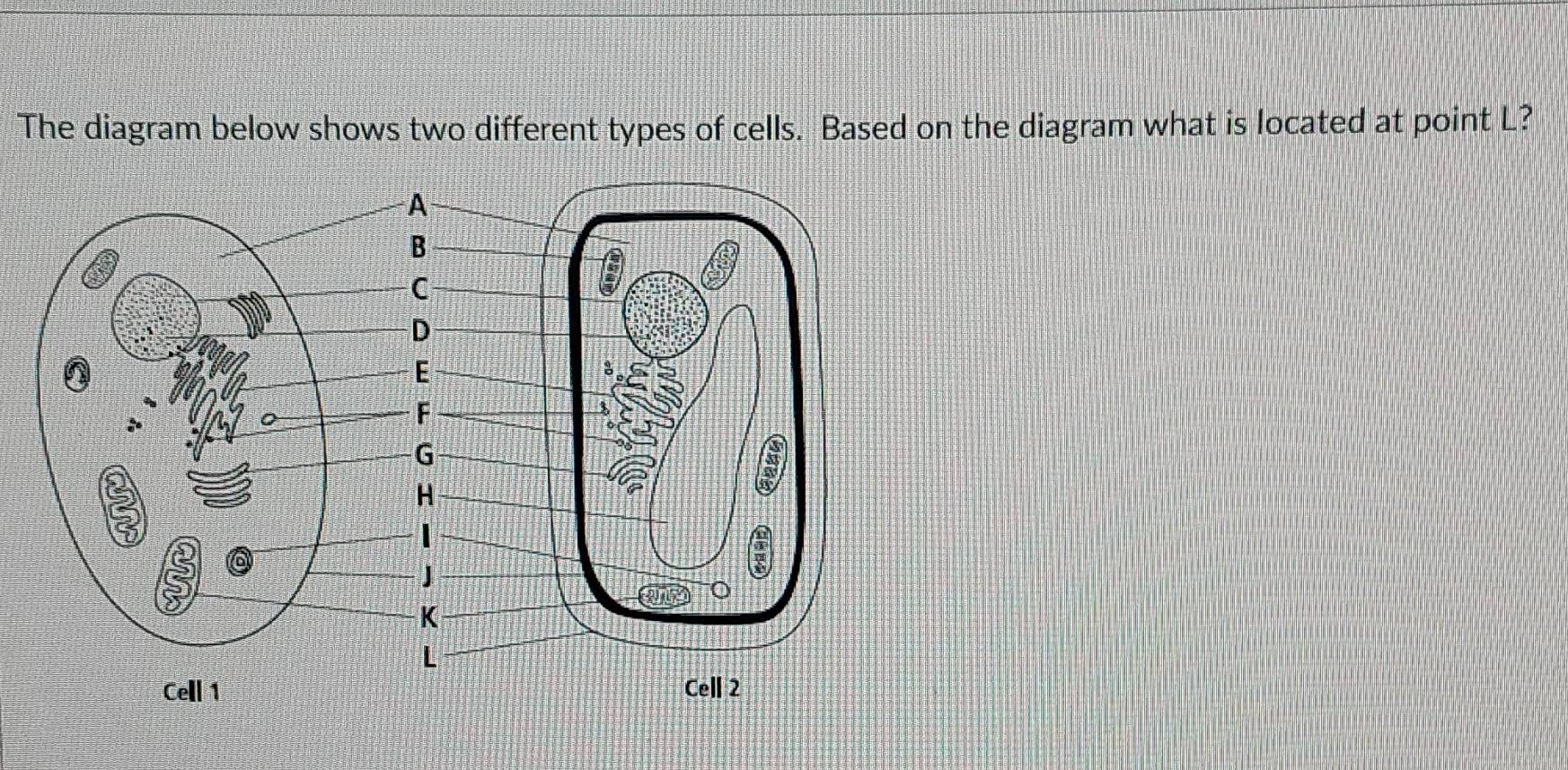 Solved: The diagram below shows two different types of cells. Based on ...