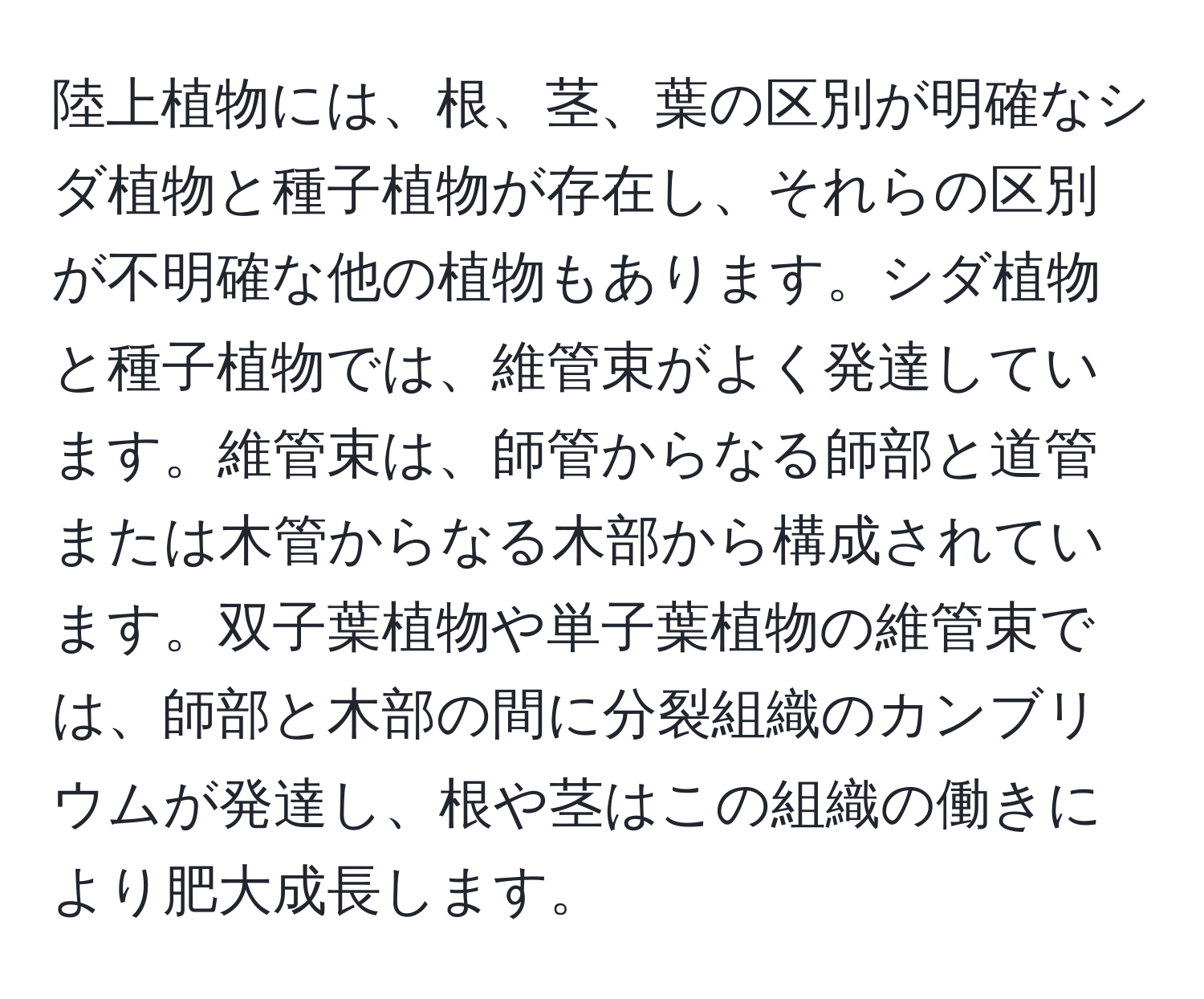 陸上植物には、根、茎、葉の区別が明確なシダ植物と種子植物が存在し、それらの区別が不明確な他の植物もあります。シダ植物と種子植物では、維管束がよく発達しています。維管束は、師管からなる師部と道管または木管からなる木部から構成されています。双子葉植物や単子葉植物の維管束では、師部と木部の間に分裂組織のカンブリウムが発達し、根や茎はこの組織の働きにより肥大成長します。