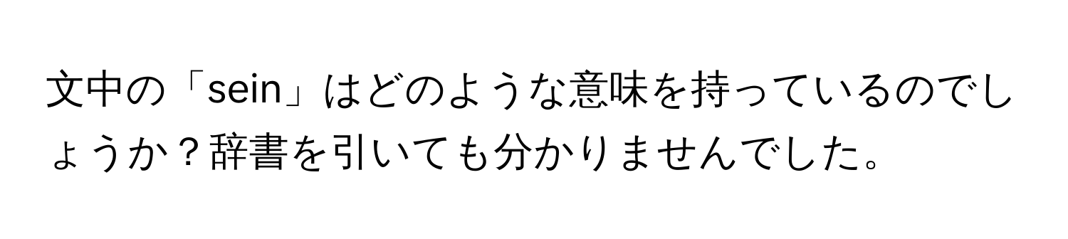 文中の「sein」はどのような意味を持っているのでしょうか？辞書を引いても分かりませんでした。