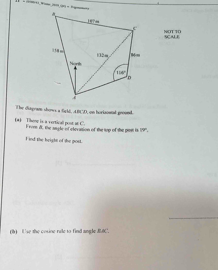 21 - (0580/43_Winter_2019_Q4) - Trigonometry
NOT TO
SCALE
The diagram shows a field, ABCD, on horizontal ground.
(a) There is a vertical post at C.
From B, the angle of elevation of the top of the post is 19°.
Find the height of the post.
_
(b) Use the cosine rule to find angle BAC.