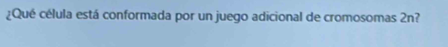 ¿Qué célula está conformada por un juego adicional de cromosomas 2n?