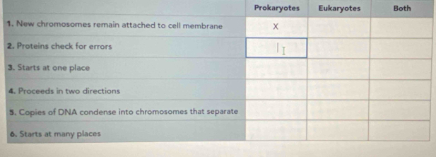 ProkaryotBoth 
1