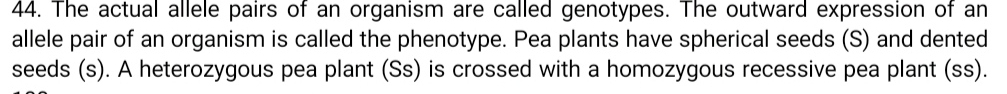 The actual allele pairs of an organism are called genotypes. The outward expression of an 
allele pair of an organism is called the phenotype. Pea plants have spherical seeds (S) and dented 
seeds (s). A heterozygous pea plant (Ss) is crossed with a homozygous recessive pea plant (ss).