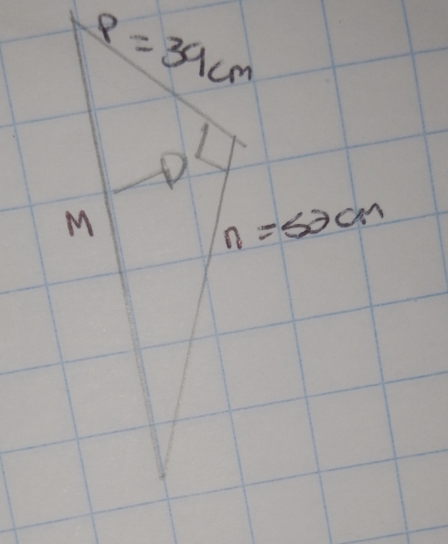 P=39cm
M
n=52cm