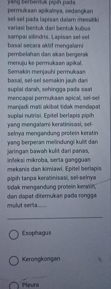 yang berbentuk pipíh pada 
permukaan apikalnya, sedangkan 
sel-sel pada lapisan dalam memiliki 
variasi bentuk dari bentuk kubus 
sampai silindris. Lapisan sel-sel 
basal secara aktif mengalami 
pembelahan dan akan bergerak 
menuju ke permukaan apikal. 
Semakin menjauhi permukaan 
basal, sel-sel semakin jauh dari 
suplai darah, sehingga pada saat 
mencapai permukaan apical, sel-sel 
manjadi mati akibat tidak mendapat 
suplai nutrisi. Epitel berlapis pipih 
yang mengalami keratinisasi, sel- 
selnya mengandung protein keratin 
yang berperan melindungi kulit dan 
jaringan bawah kulit dari panas, 
infeksi mikroba, serta gangguan 
mekanis dan kimiawi. Epitel berlapis 
pipih tanpa keratinisasi, sel-selnya 
tidak mengandung protein keratin, 
dan dapat ditemukan pada rongga 
mulut serta....... 
Esophagus 
Kerongkongan 
Pleura