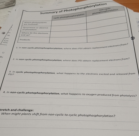 on 
A 
1. In non-cyclic photophosphorylation, where does PSI obtain replacement elec 
U 
_ 
Rí 
2. In non-cyclic photophosphorylation, where does PSI obtain replacement electrons from? 
_
PSI? 3. In cyclic photophosphorylation, what happens to the electrons excited and released from 
_ 
_ 
_ 
4. In non-cyclic photophosphorylation, what happens to oxygen produced from photolysis? 
_ 
tretch and challenge: 
_ 
When might plants shift from non-cyclic to cyclic photophosphorylation? 
_