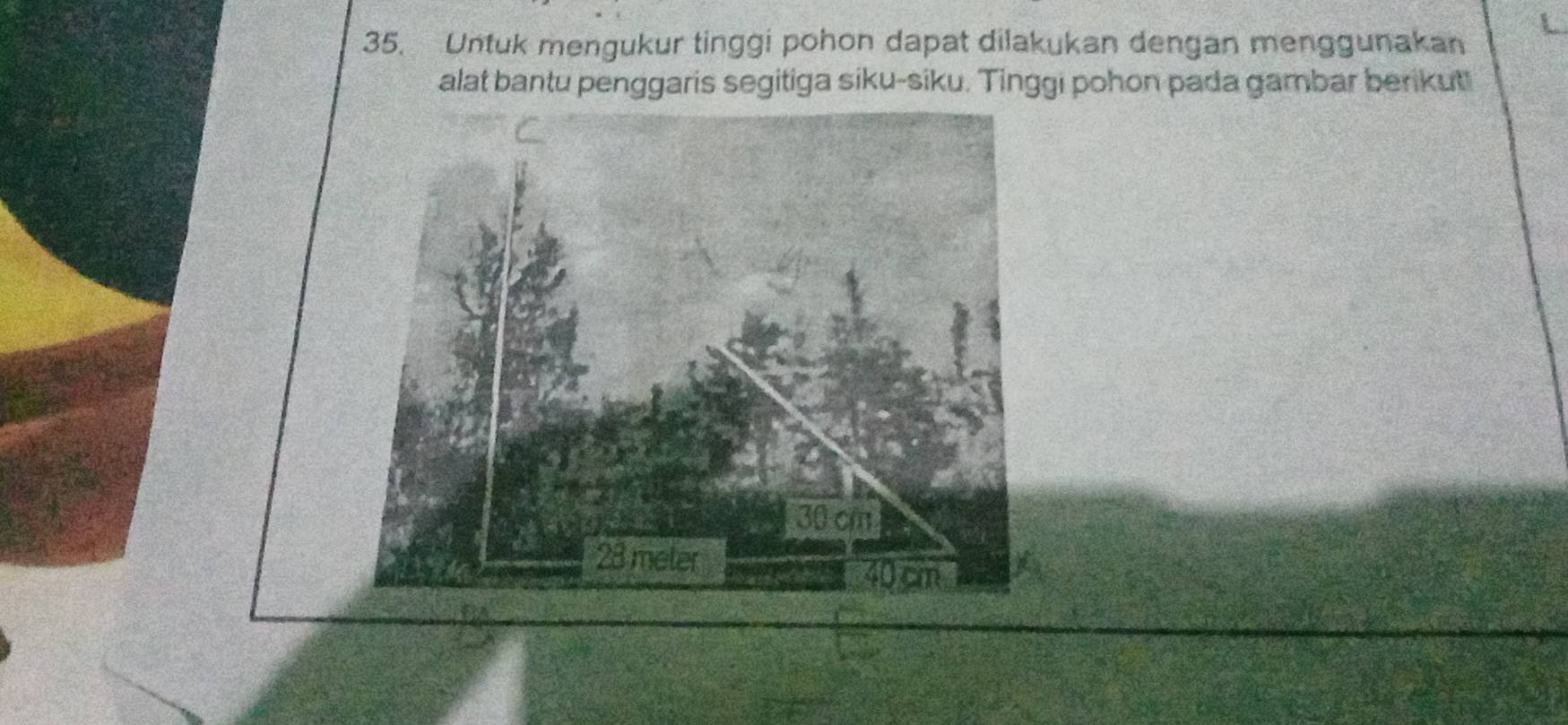 Untuk mengukur tinggi pohon dapat dilakukan dengan menggunakan 
alat bantu penggaris segitiga siku-siku. Tinggi pohon pada gambar berikut!