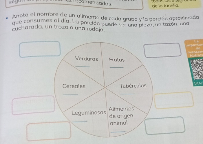 segun 
recomendadas. 
de la familia. 
Anota el nombre de un alimento de cada grupo y la porción aproximada 
que consumes al día. La porción puede ser una pieza, un tazón, una 
cucharada, un trozo o una rodaja. 
La 
importan 
de 
manten 
hidrat 
Verduras Frutas 
_ 
_ 
Cereales Tubérculos 
bitly 
_ 
_ 
Leguminosas Alimentos 
_ 
de origen 
animal 
_